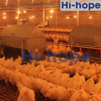 Poultry Farm Breeder Chain Feeding Equipment Manufacturer