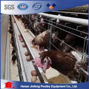 Hot Galvanized Automatic Chicken Farm Poultry Battery Cage System/Battery Layer Poultry Cage