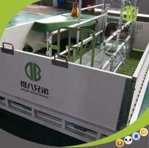 Anti-Corrosion Hot DIP Galvanized Reversible Farrowing Crate