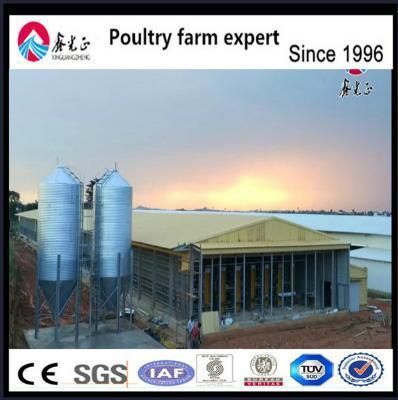 High Broiler Chicks Automatic Poultry Farm Raw Materials