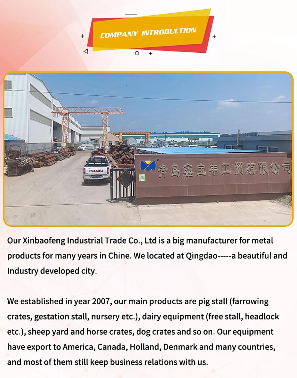 Factory Direct Hot-DIP Galvanized Pipe Welded Cattle Pen/Horse Pen/Sheep Pen/Livestock Pen Supplier