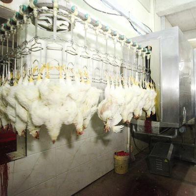 Chicken Slaughterhouse 500bph Halal Chicken Slaughtering Machine for Slaughter Line