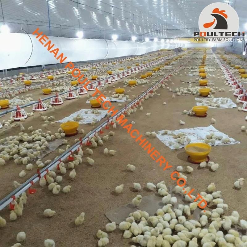 Dominica Chicken Broiler Ground Rearing System