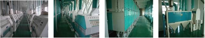 3t Sesame Seed Destoner Processing Machinery