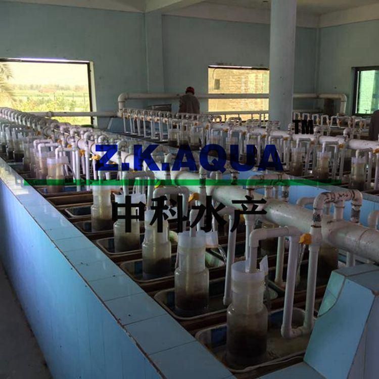 Pisciculture Incubation Pot Aquaculture Fish Hatchery Process Hatchery Device Equipment Supplies