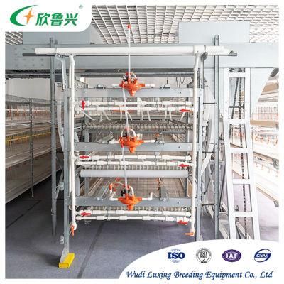 High Quality Broiler Farming Equipment Chicks Broiler Cage for Battery Farming