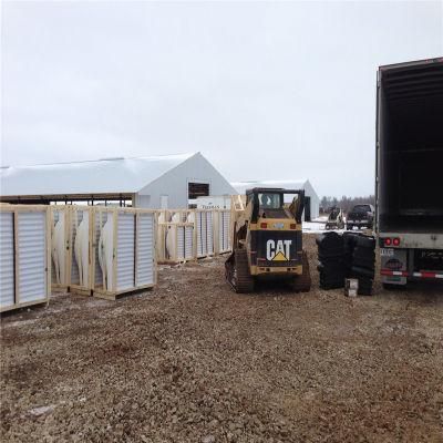 Quickly Assemble Best Quality Steel Structure Broilers Chicken Feeding System