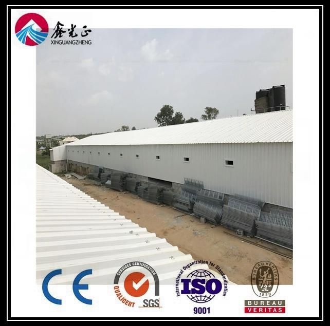 Chicken House Equipment