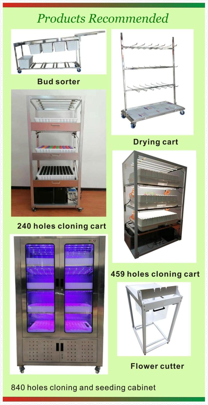 Tent 153 Holes Cutting Cloning with Automatic Solution System