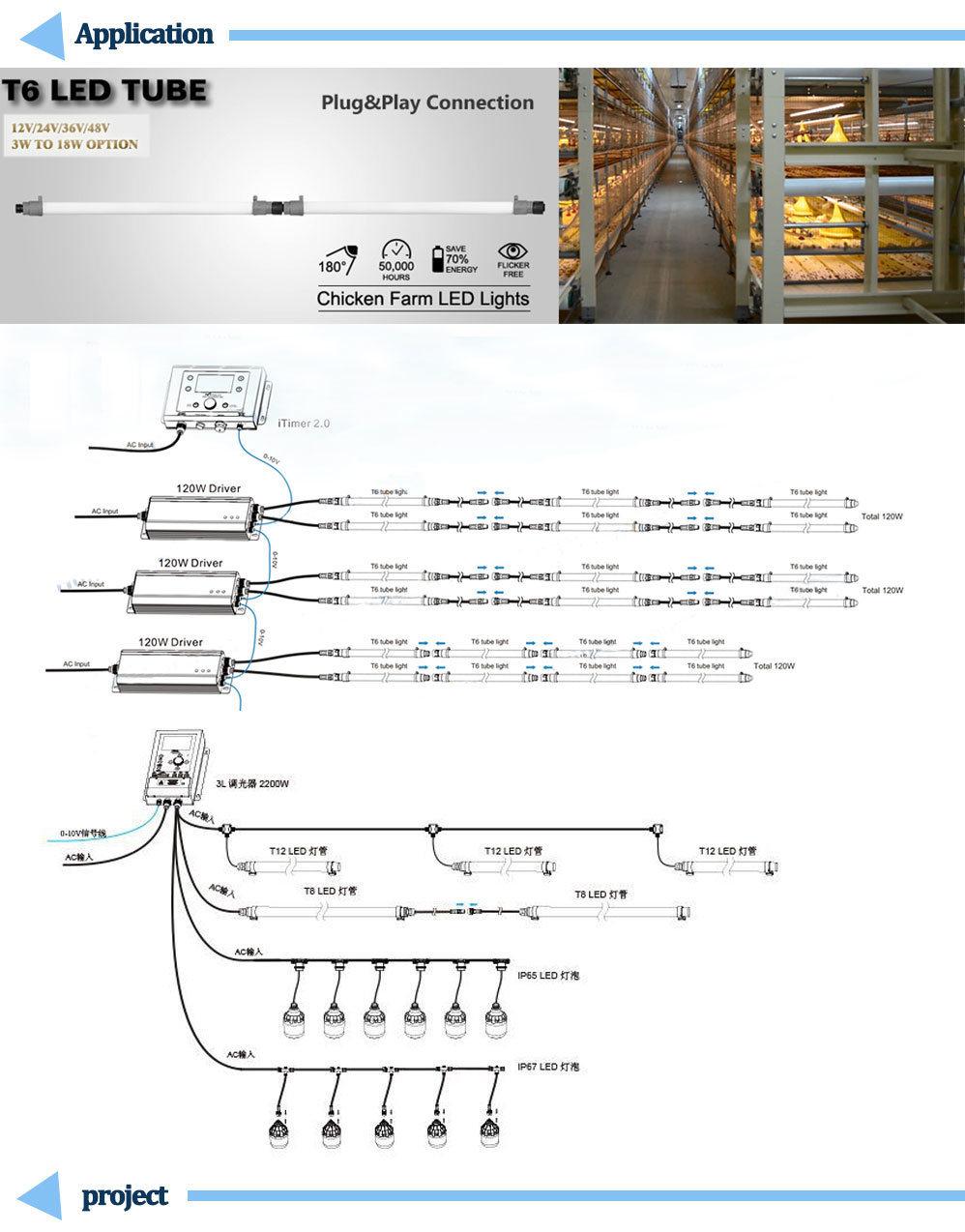 Prefab/Prefaricated Factory Price Steel Structure Chicken Equipment with Ce Certificate