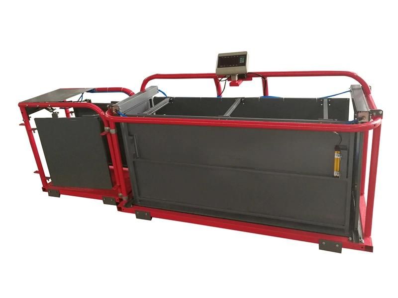 Sheep Equipment Automatical 3-Way Sheep Goat Draft Scale