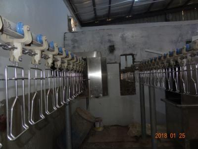 Slaughter Equipment Chicken Feet Processing Machine for Chicken Slaughter Line