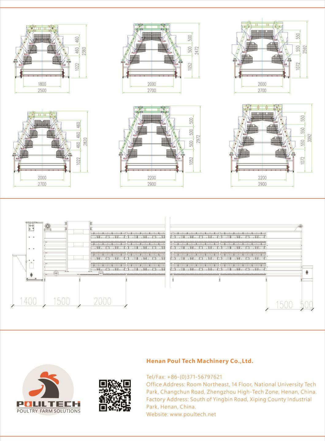 Type a Layer Cage Raising Equipment for Layer Chickens House