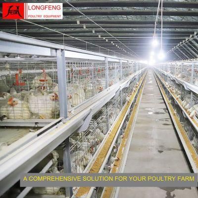 High Density Longfeng Standard Packing Broiler Chicken Cage for Asian Farm