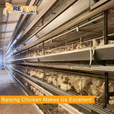 Full Automatic Poultry Battery Layer Cage System for Poultry Farm