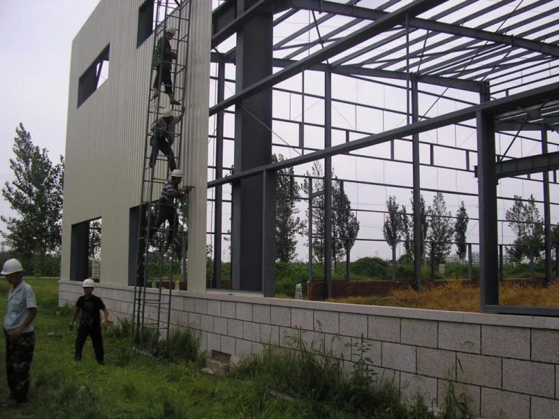 High Quality and Low Cost / Fast Install / The Steel Structure Workshop/Warehouse