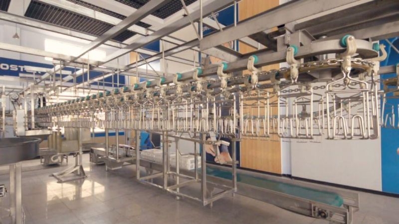 2016 Poultry Processing Manufacturing Poultry Slaughter Evisceration Table