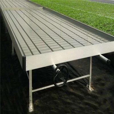 Advanced Tidal Seeding Bed for High Quality and Easy Greenhouse Seed Breeding for Modern Agriculture