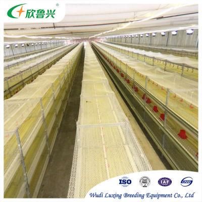 Poultry Broiler Farm Breeding Equipment Automatic Battery Cage with Bird-Harvesting System