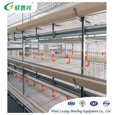 Manufacturing Cage System Used in Laying Chicken Farm Poultry Cage Battery Hen Bird Cage Design