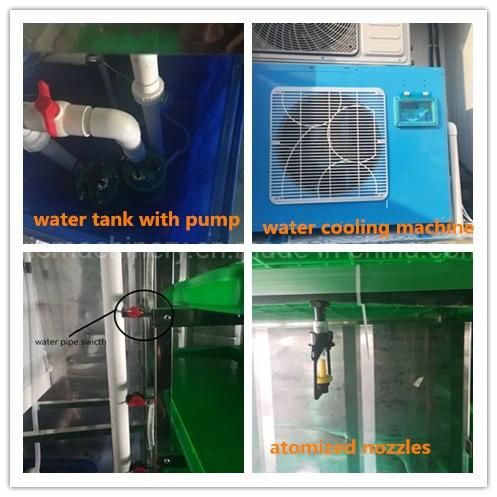 Professional Hydroponic Fodder Growing Cabinet With Ozone Machine