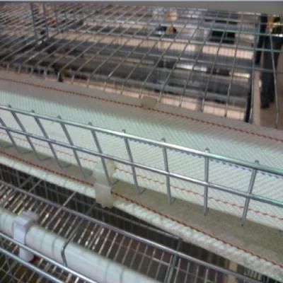 Multipurpose Type a Chicken Poultry Raising Equipment