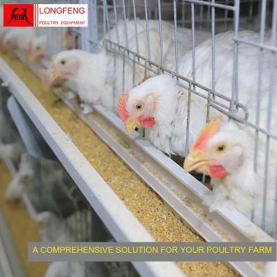 Good Service Large Scale Poultry Farming Feeder Broiler Chicken Cage