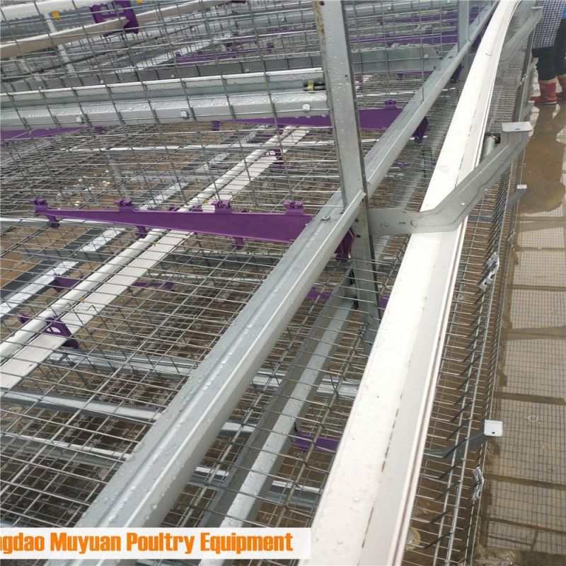 Hot Galvanized Automatic Controlled 4 Tiers Battery Chicken Poultry Farm/Farming Equipment for Livestock Layer/Hen Raising Farm House