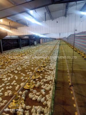 Popular Sale Tunnel Ventilated Poultry House Equipment with Water Line System and Poultry House Control Panel