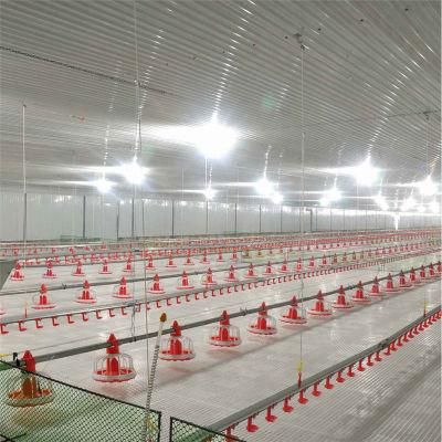 Best Quality Material 30 Years Life Chicken Poultry House Machine