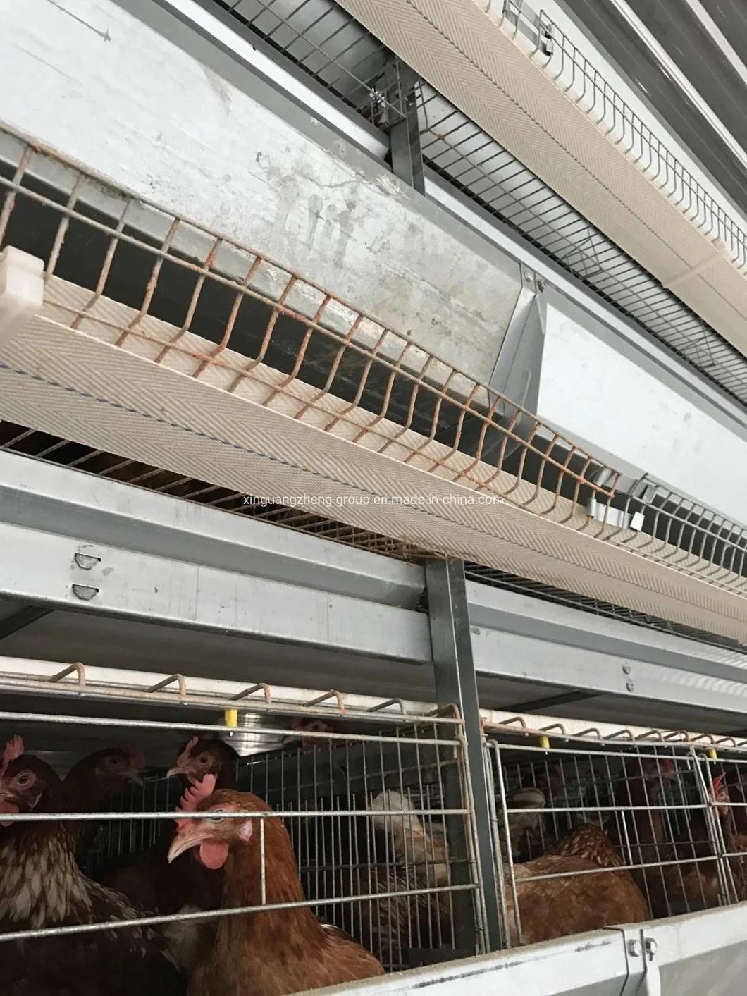 Hot Sale Automatic Battery Chicken Cage in Philippines