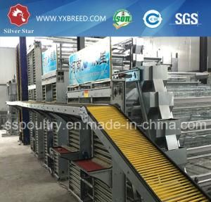 Full Automatic Poultry Equipment
