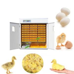 Commercial Egg Incubator for Sale