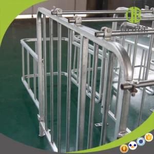 China Factory Pigs in Cages Gestation Stall for Sows