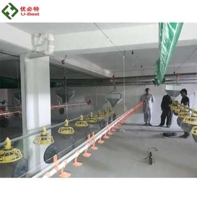 Automatic Design Modern Chicken Farm of Poultry Broiler Equipment