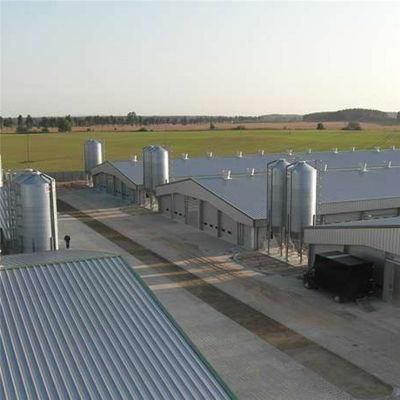 Prefab/Prefabricated New Type Hot Sale Chicken Coop Equipment