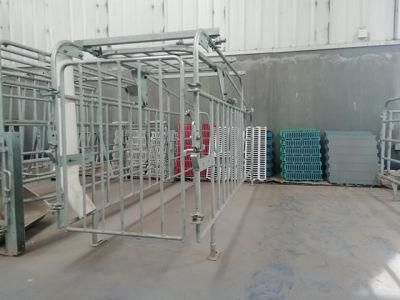 High Quality Gestation Pig Crates Used Steel Pig Pen for Pig Farming