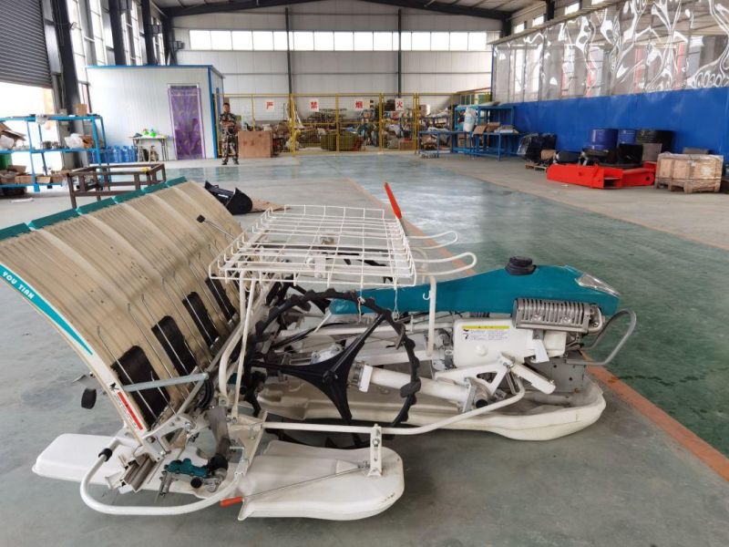 6 Rows Rice Farming Machinery Walking Type Rice Planter