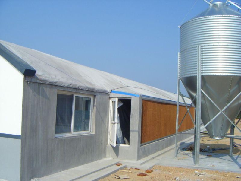 Poultry Equipment Farm Broiler Chicken Coop for Sale