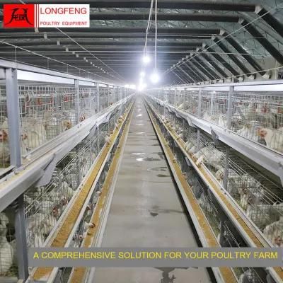 1250*800mm Customized Longfeng Standard Packing Egg Incubator Price Broiler Chicken Cage