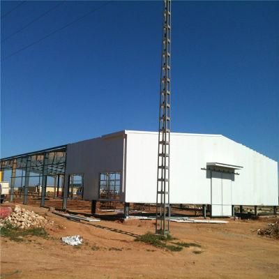 Long Span High Quality Technical Feeding Poultry House Equipment