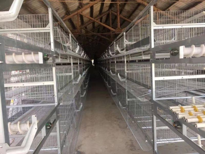 6 Tiers Poultry Layer Cage Hot Galvanized Cage H Type Cage Hen Layer Cage Poultry Equipments