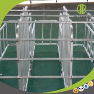 Pig Gestation Farrowing Stall / Limited Crate with Hot DIP Galvanized