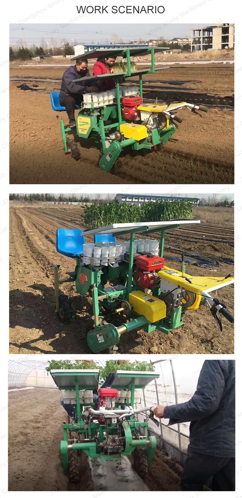 Time Saving and Labor Saving Lettuce Seed Transplanters Tobacco Transplanter