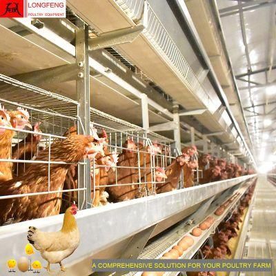 Factory China Farming Longfeng Farms Layer Cages Feeding Farm Poultry Equipment 9LCD-4128
