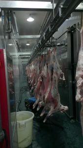 Complete Goat Slaughterhouse Equipment Lamb Skinning Machine
