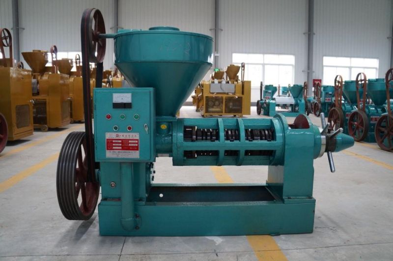 8tpd Cold Press Sunflower Sesame Soybean Peanut Oil Pressing Machine