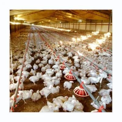 Fully Automatic Feeding Line System Pan Feeder Nipple Drinker Poultry Farming Equipment for Broiler Chicken Products