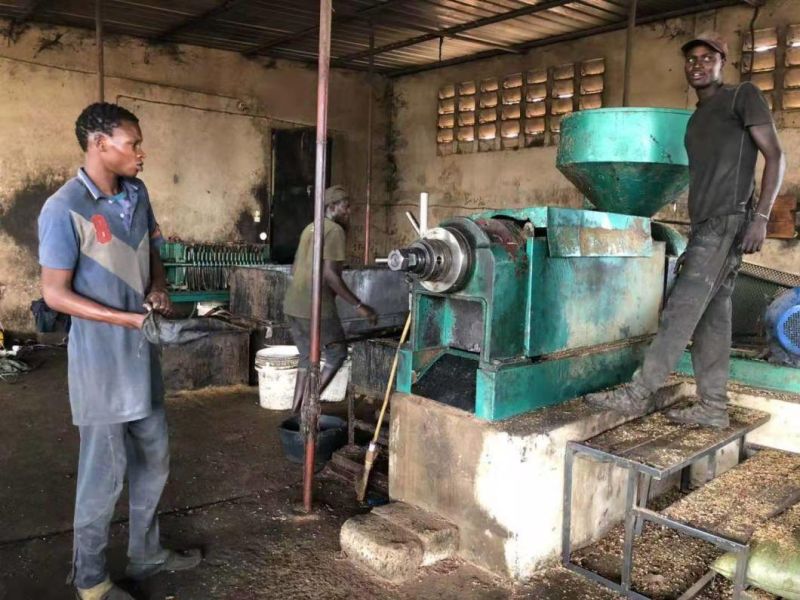 Top Selling 20tpd Sunflower Oil Press Machine (YZYX 168)
