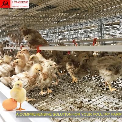 275g Hot Galvanized Wire Mesh and Sheet Longfeng Manure Belt Removing Layer Cage Factory
